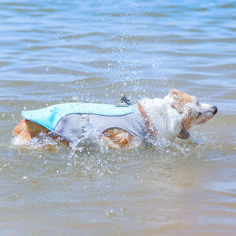Breathable summer pet vests in five bright colours