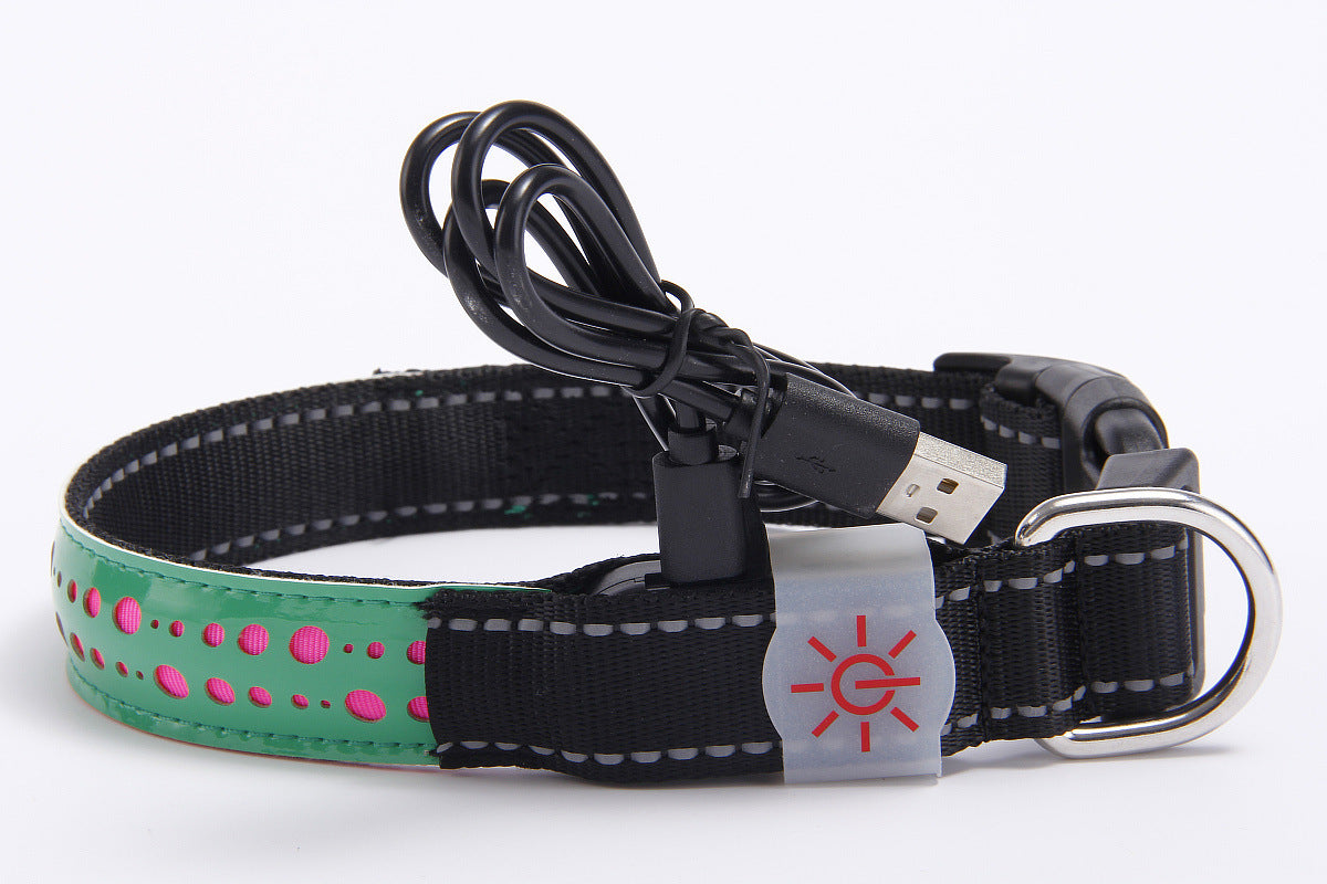 Striped light up collars for dogs and cats in blue and green