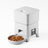 Automatic Pet Food Dispenser with Wi-Fi App Control, 2L Capacity and Optional Camera