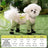 Four leg dog coverall with belly guard, available in 9 styles, image 16