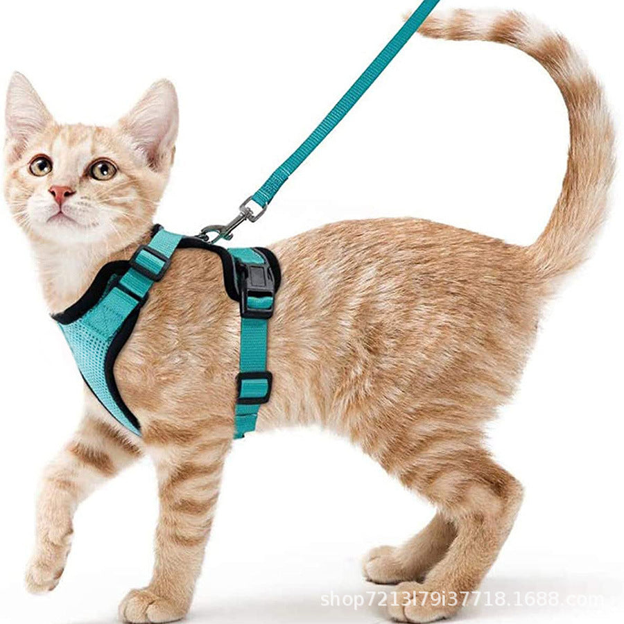 Mesh pet harness sets shown in eleven colours