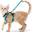 Mesh pet harness sets shown in eleven colours
