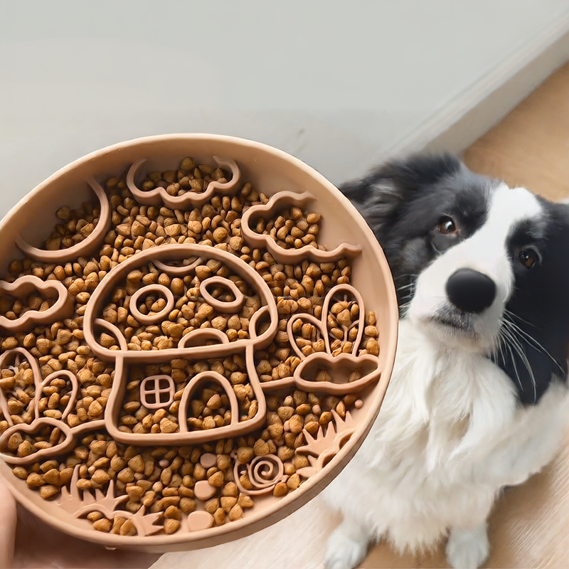 Dog Bowl Feeder