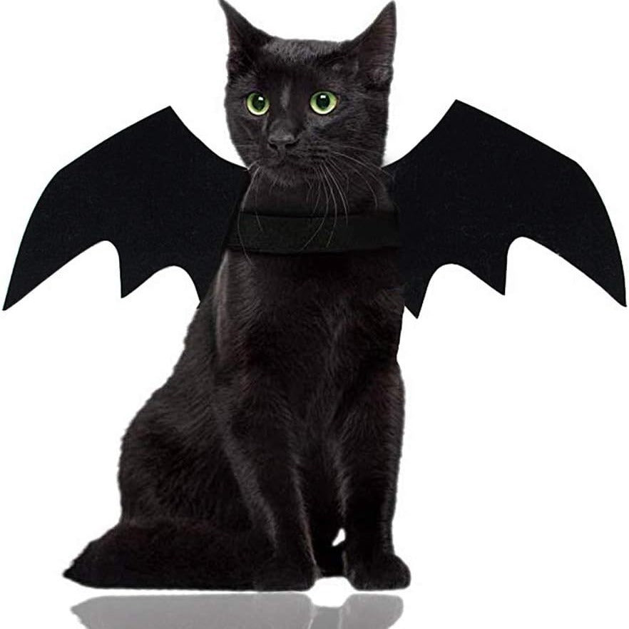Halloween bat wings and spider costume for dogs and cats, image 1
