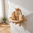 Wooden wall-mounted cat moon bed and star platforms in Star Platforms, 3 Pieces