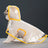 Clear dog rain poncho with coloured edging, available in 7 colours, image 49