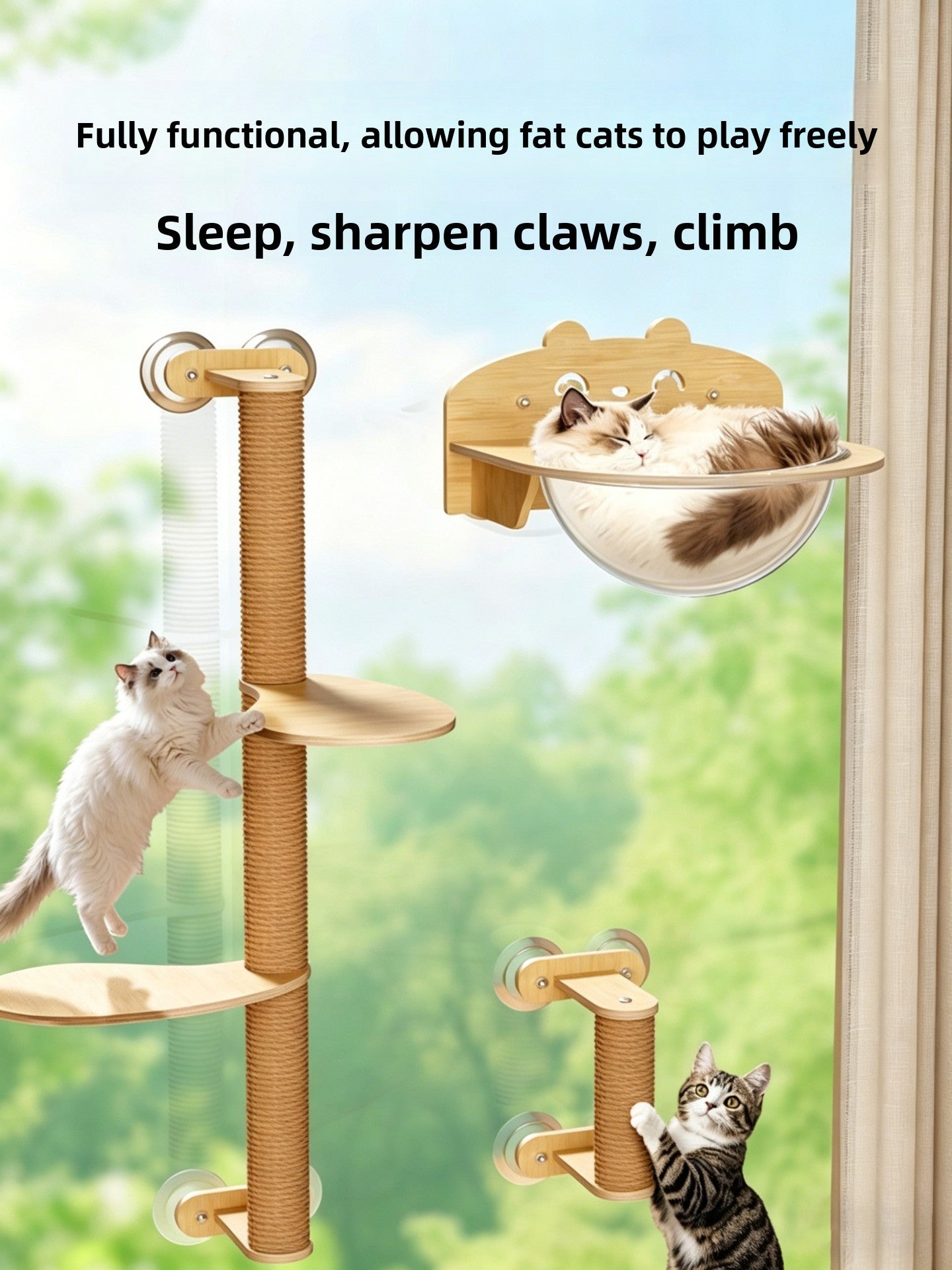 Suction cup window cat bed with clear capsule, shown in 13 colours and styles