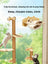 Suction cup window cat bed with clear capsule, shown in 13 colours and styles