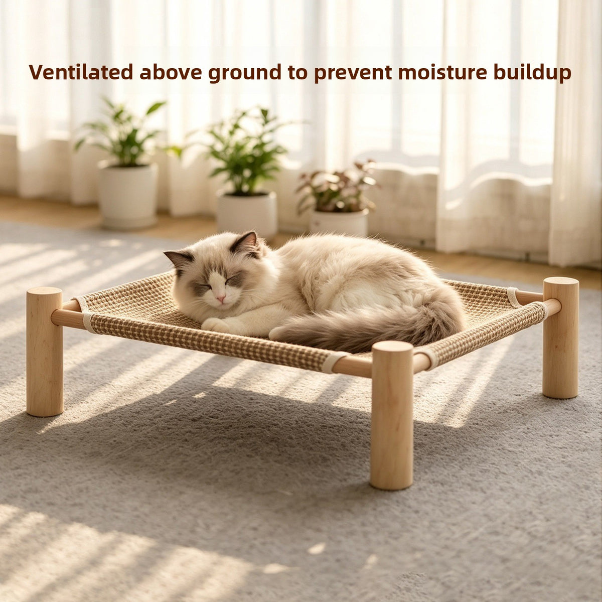 Solid Wood Elevated Pet Bed with Washable Pad, Raised Platform