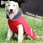 Water-resistant padded dog winter coat with reflective trim in Blue, front view