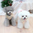Padded puffer jacket for small dogs, available in 3 colours, image 2