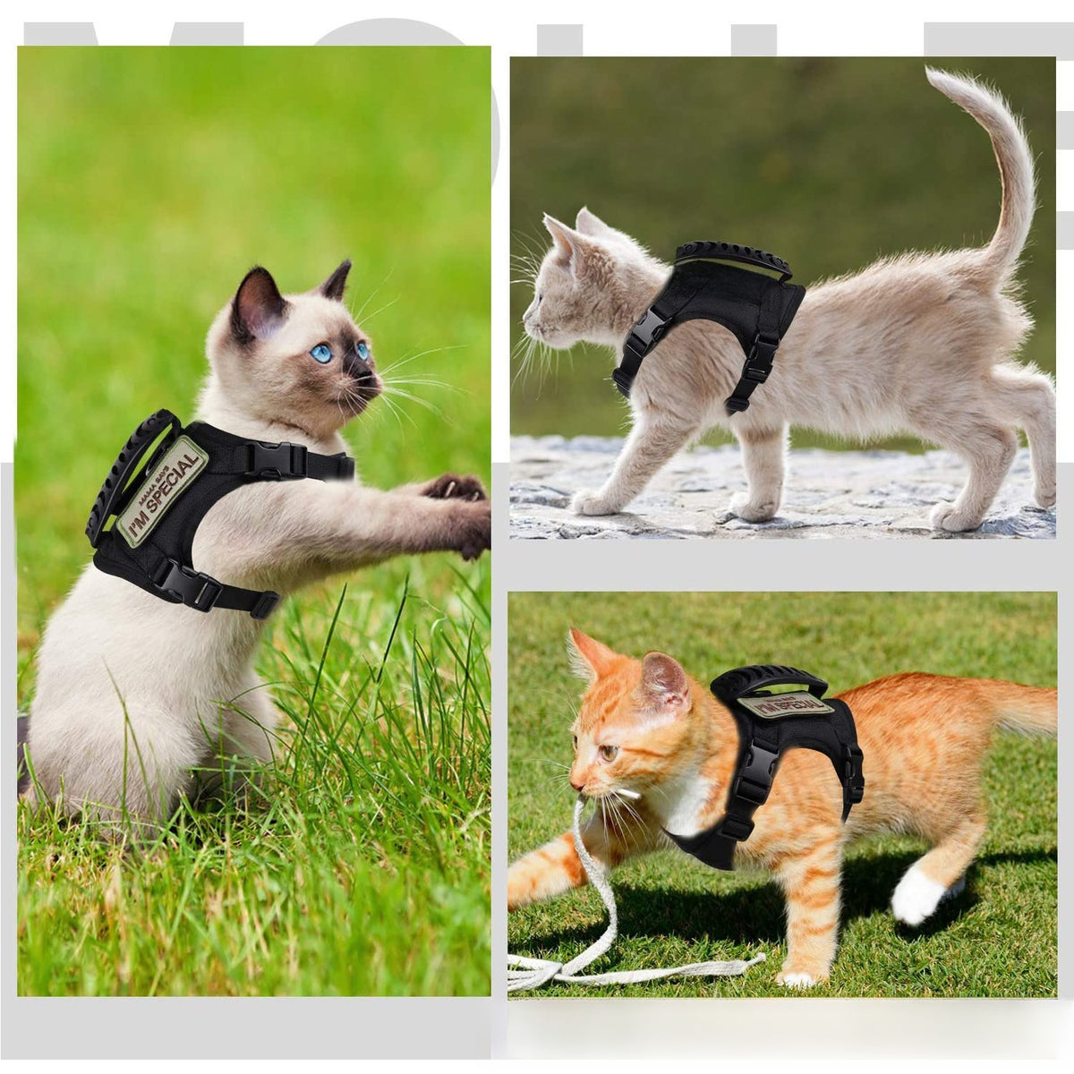 Tactical style vest harness in camouflage on a small dog