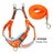 Reflective vest harness and lead for small dogs, ideal for everyday use