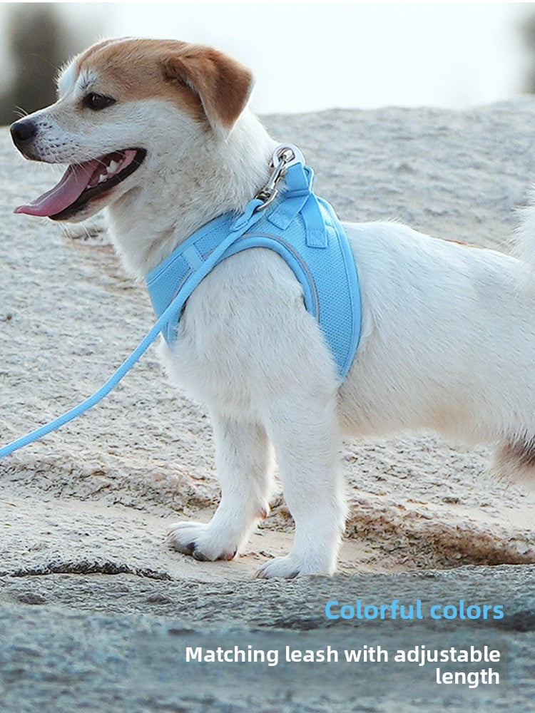 Tiny dog vest harness and lead set in 12 colour options