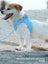 Tiny dog vest harness and lead set in 12 colour options