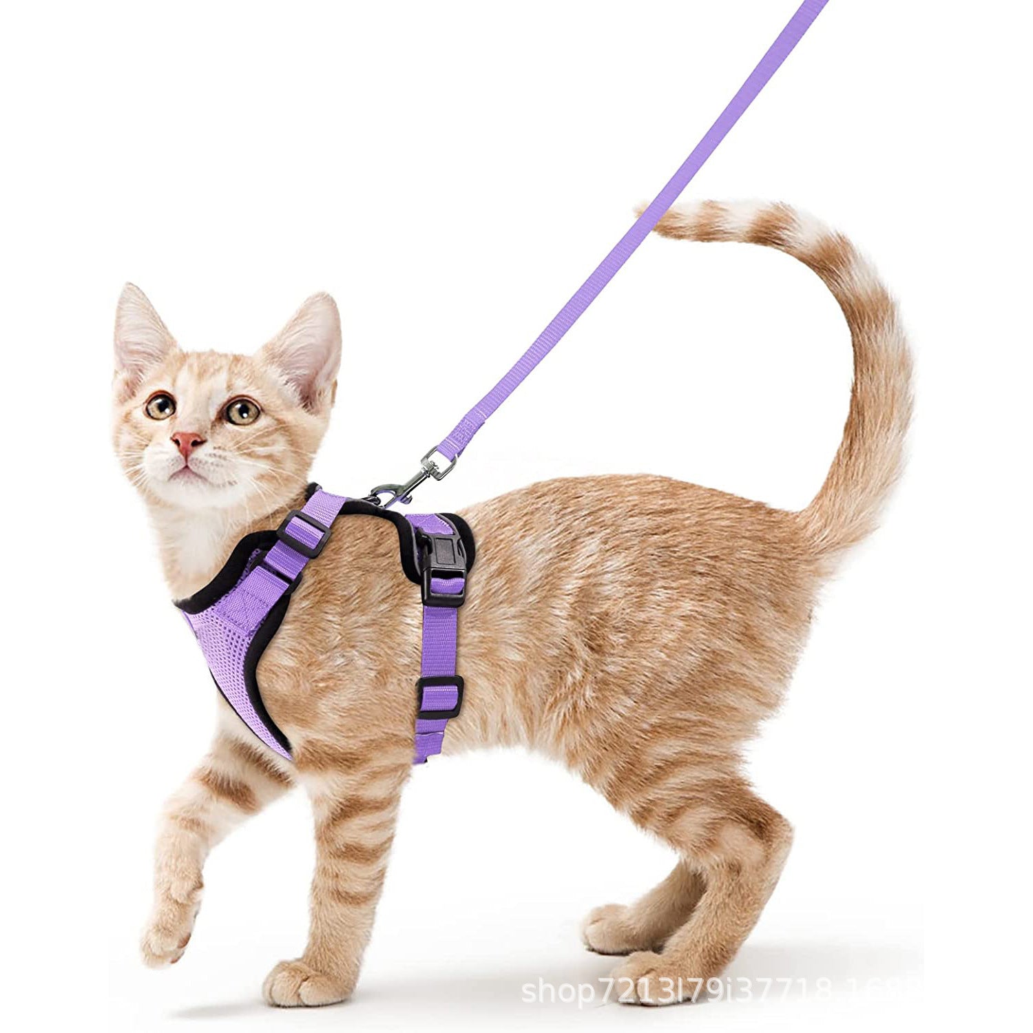 Mesh pet harness sets shown in eleven colours