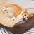 Plush Pet Sofa Lounger Bed with Thermal Fibre Filling