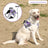 Reflective vest dog harness, 6 sizes available from Pet Royale UK
