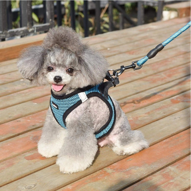 Lightweight nylon dog harnesses in black and pink