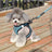Lightweight nylon dog harnesses in black and pink