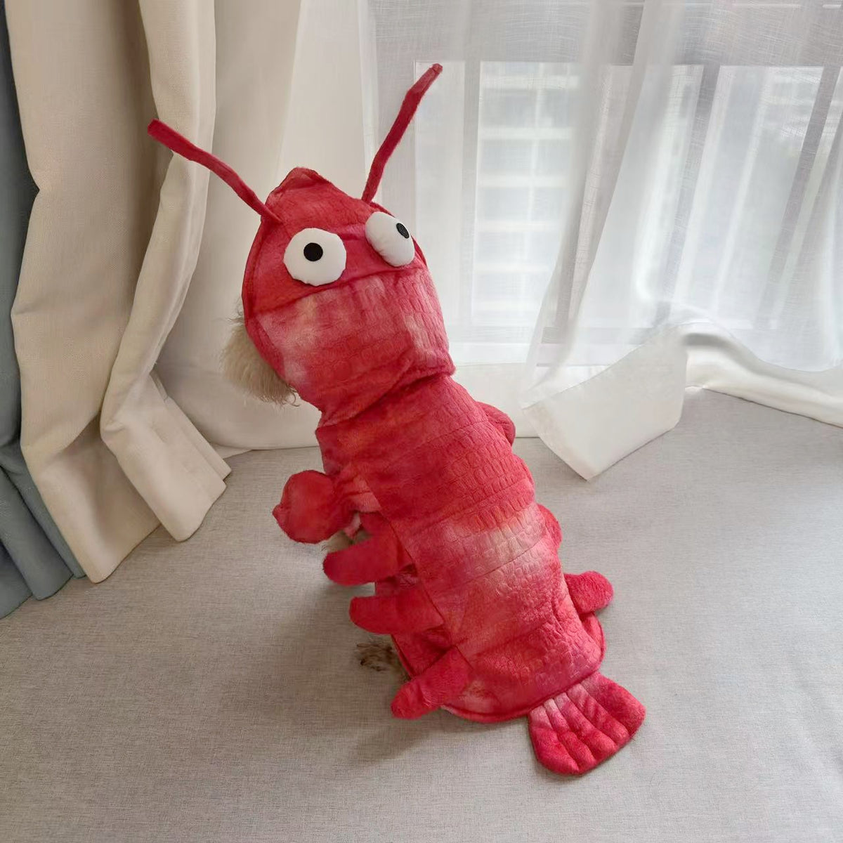 Hand tie dyed lobster costume for cats and dogs
