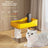 Automatic Pet Water Fountain with Quiet Pump