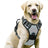 Reflective breathable nylon mesh dog harness, product image 38