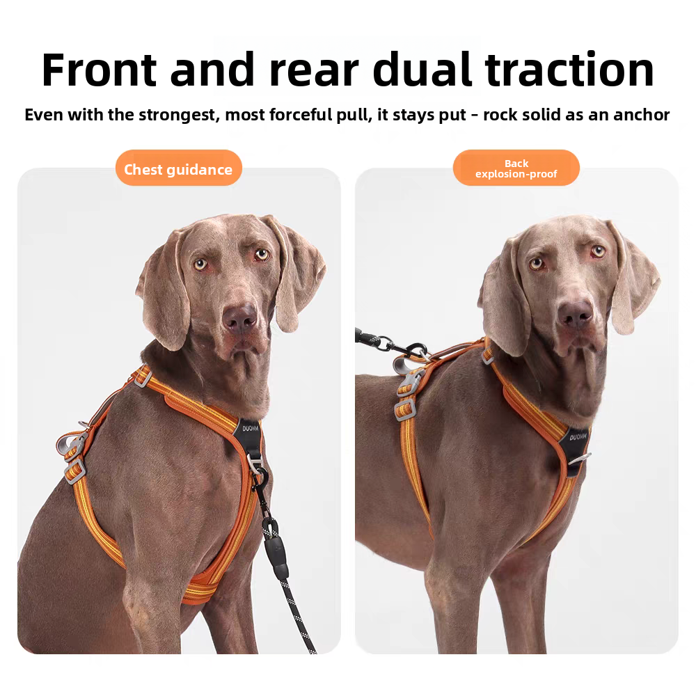 Polyester dog harness and 2.5m lead in khaki and black