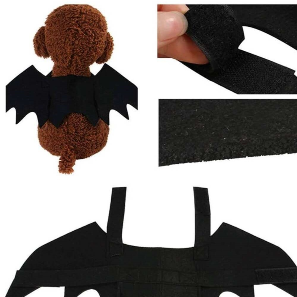 Black cat wearing black felt Halloween bat wings