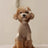 Heart print hoodie for dogs and cats, available in 5 colours, image 9