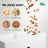 Pet intelligent feeder