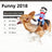 Funny Pet Transformation Costume
