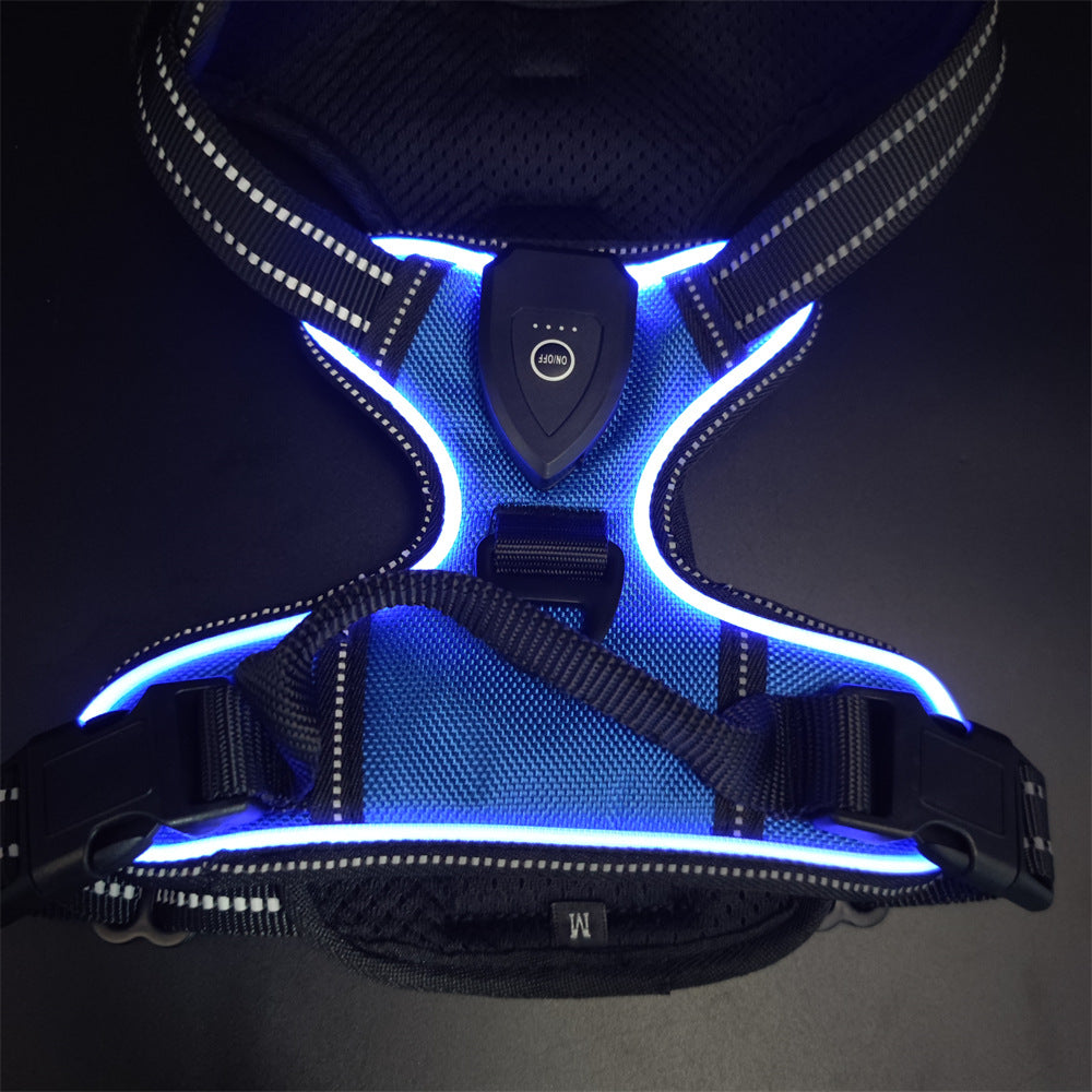LED light-up dog harness for night walks in Black, extra detail view