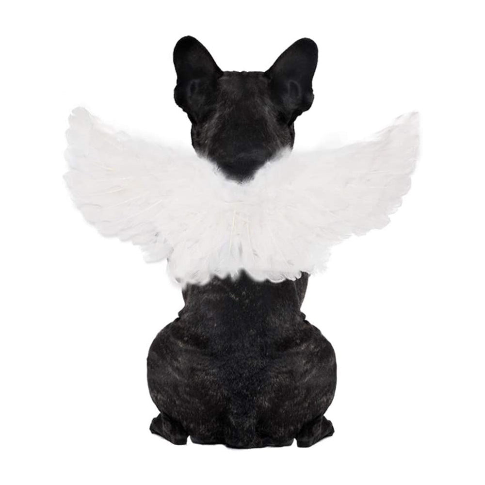 Angel wings costume for cats and small dogs, available in 4 styles, image 1