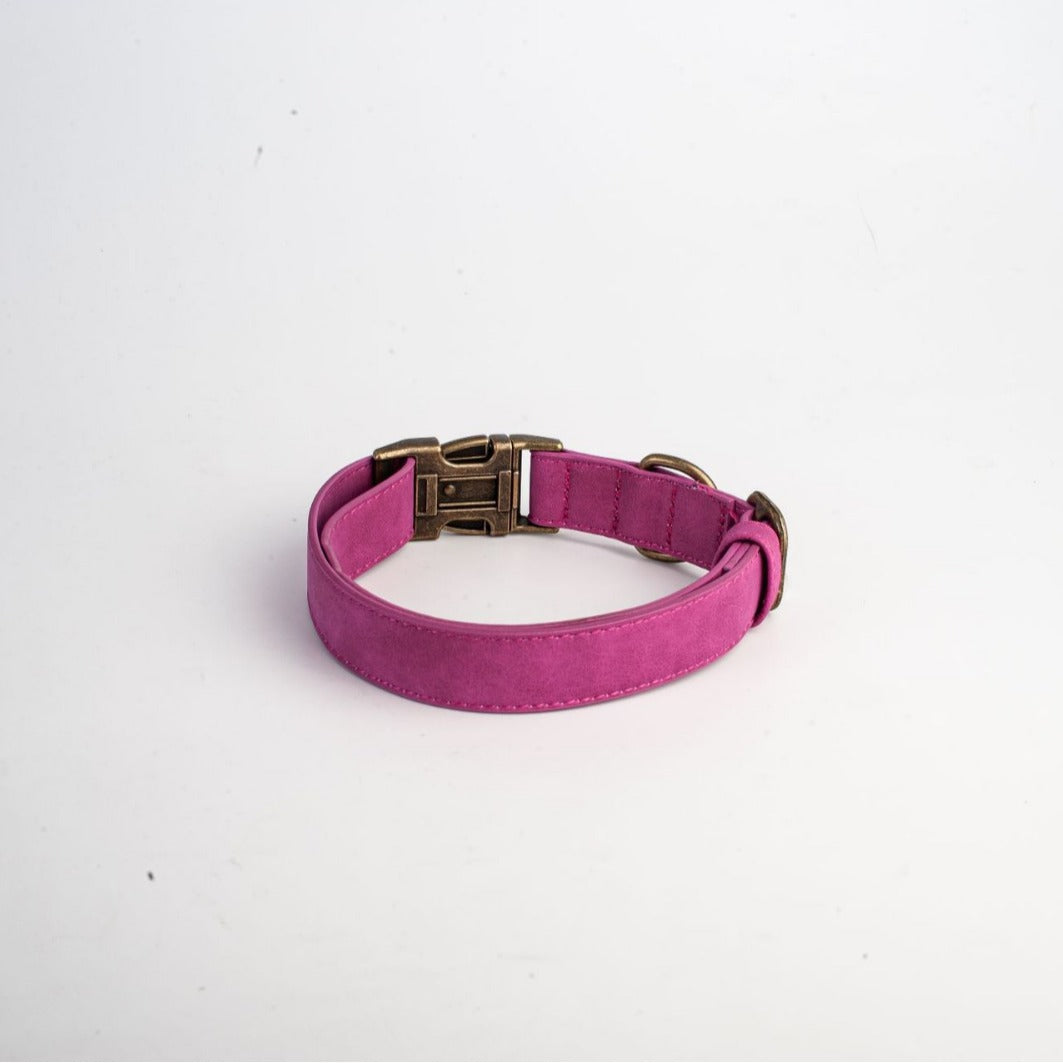 Soft leather dog collar with alloy buckle, product image 2