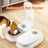 Pet Automatic Feeding Timing Feeder Division Bowl Timing Quantitative Dry and Wet Two Feeding Pet Bowl