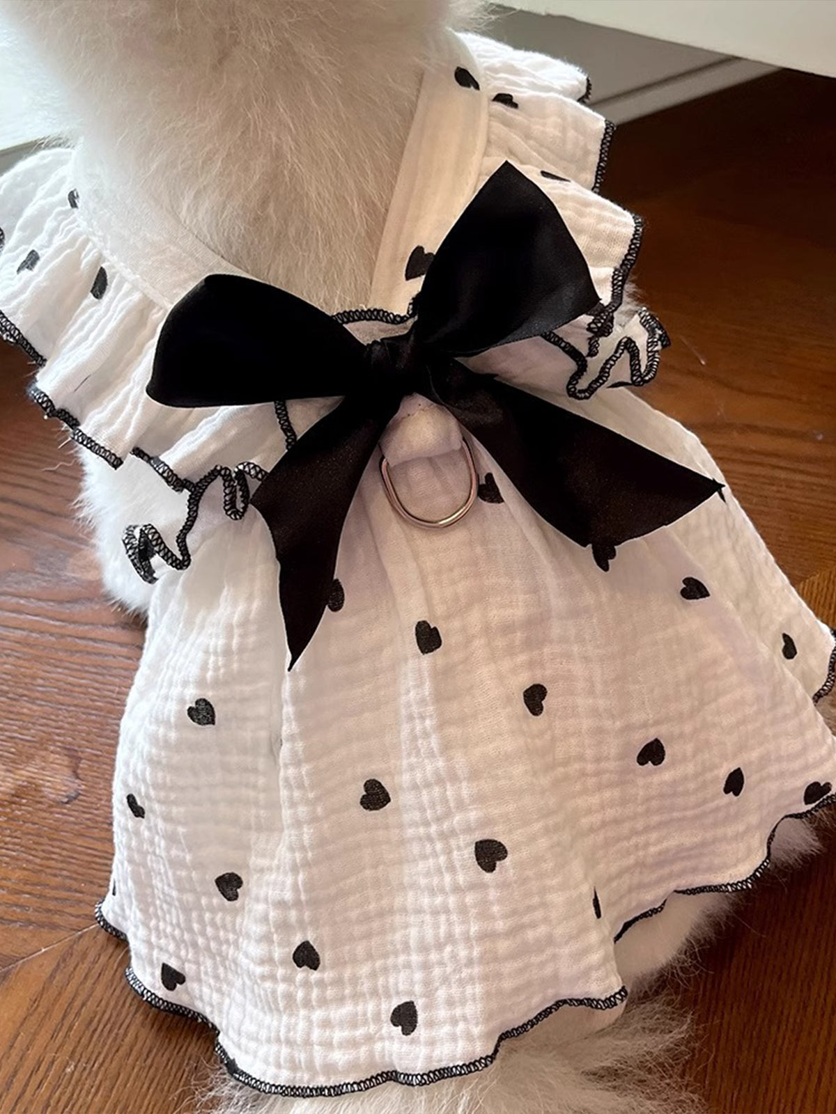 Princess bow cotton cat dress in Black, front view