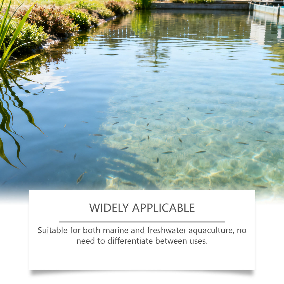 Aquarium Water Clarifying Powder for Clear Fish Tank Water