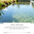 Aquarium Water Clarifying Powder for Clear Fish Tank Water