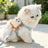 Burger and toast pet harness with lead, ideal for everyday use