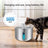 Automatic Stainless Steel Pet Water Dispenser
