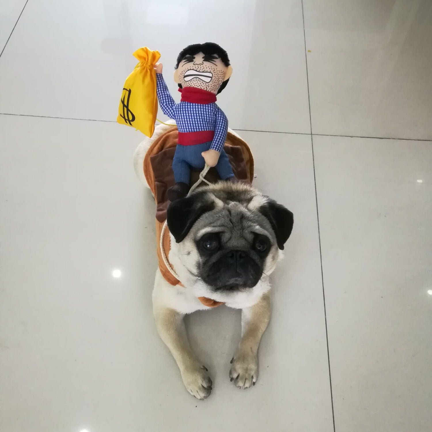 Funny rider costume for dogs, available in 4 styles, image 2