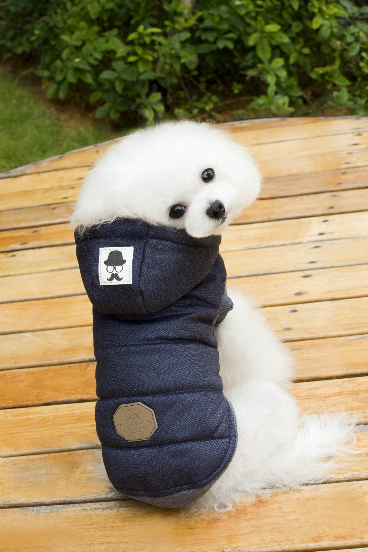 Two-leg padded cotton dog coat with moustache pattern in Navy Blue, side view