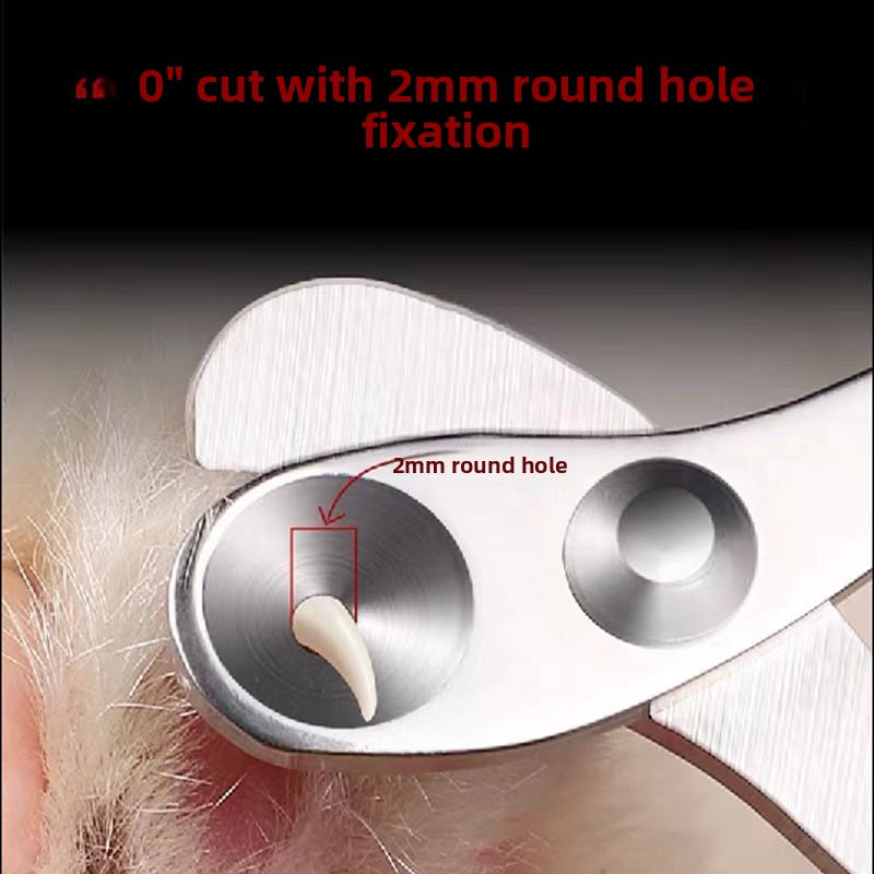 Blunt Tip Stainless Steel Nail Scissors for Cats and Small Pets