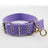 Wide canvas dog collar with rotating ring, ideal for everyday use