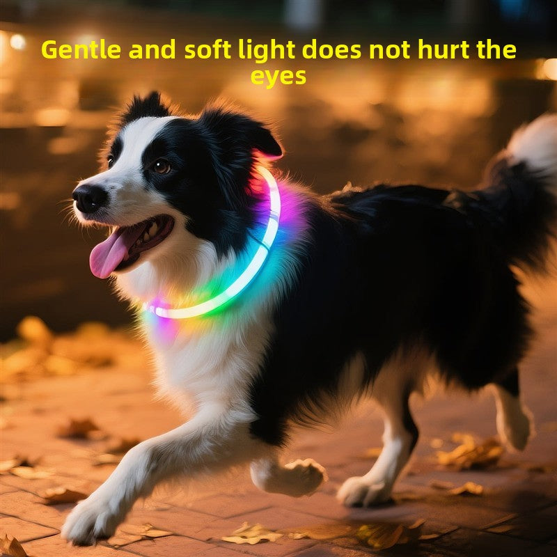 Trim to fit LED dog collar glowing in bright colour, product image 2