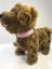 Adjustable buckle pet collar in bright colours for dogs, view 60