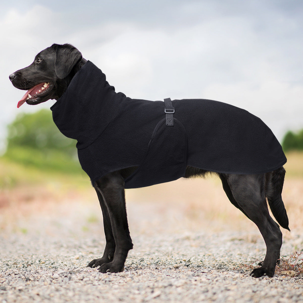 Hooded polar fleece dog jumper, available in 5 colours, sizes Small to 5XL, image 6
