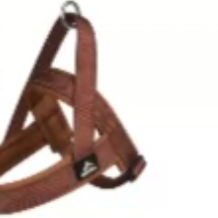 Soft nylon dog harness in four colours, product image 13