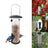 Lazy-person automatic bird feeder